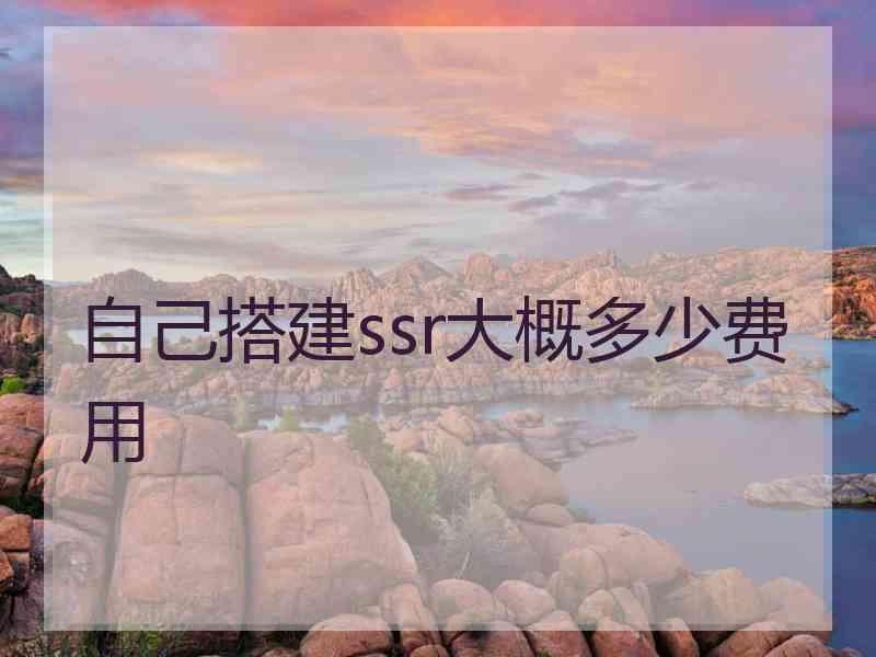 自己搭建ssr大概多少费用