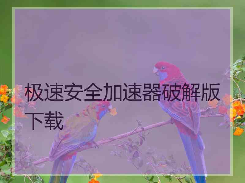 极速安全加速器破解版下载