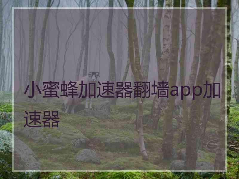 小蜜蜂加速器翻墙app加速器
