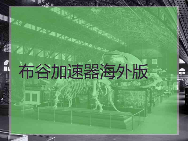 布谷加速器海外版