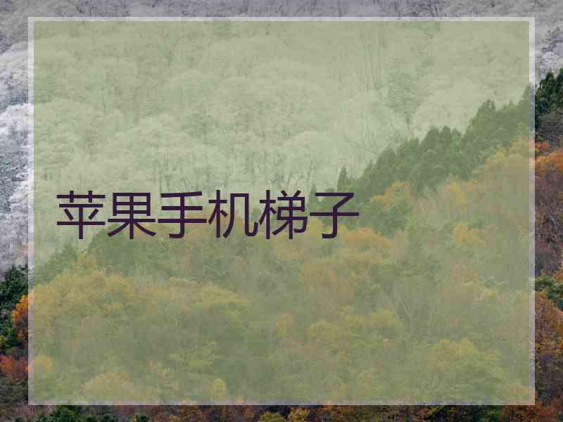 苹果手机梯子