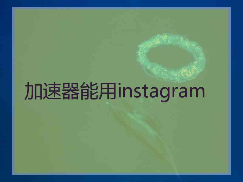 加速器能用instagram