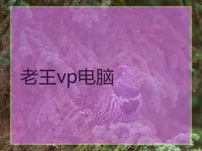 老王vp电脑