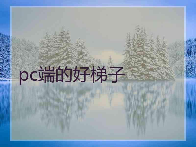 pc端的好梯子