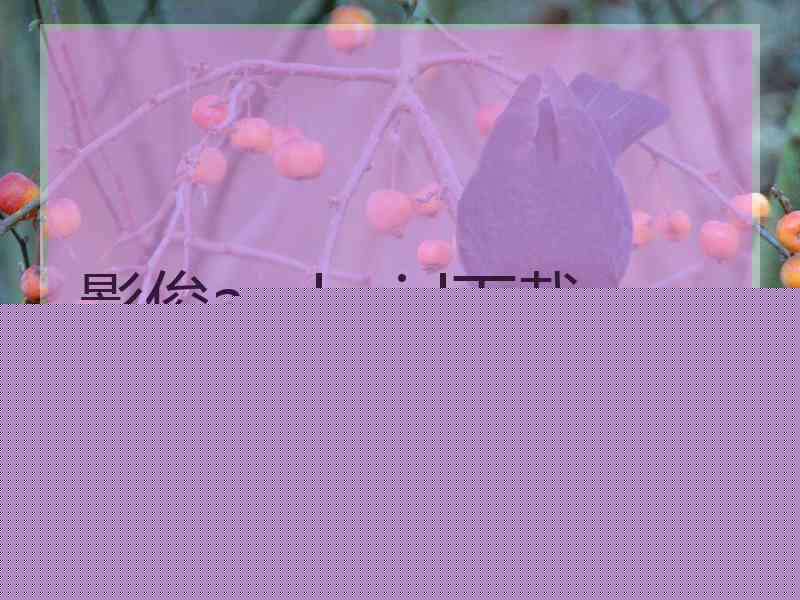 影俊android下载