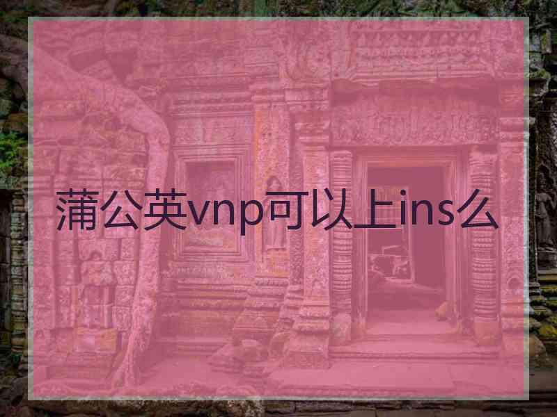 蒲公英vnp可以上ins么