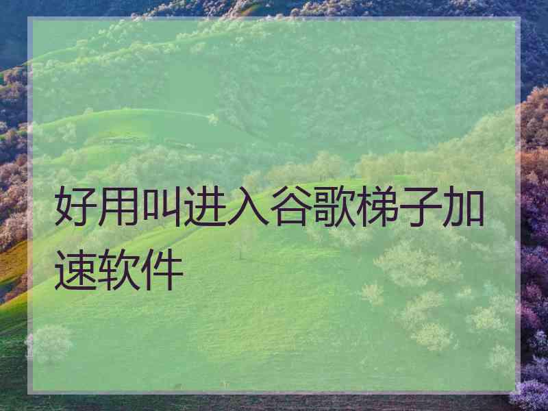 好用叫进入谷歌梯子加速软件