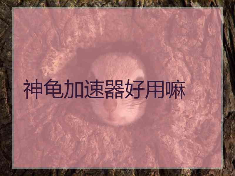 神龟加速器好用嘛