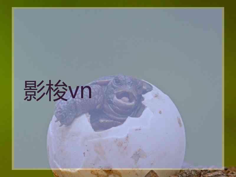 影梭vn