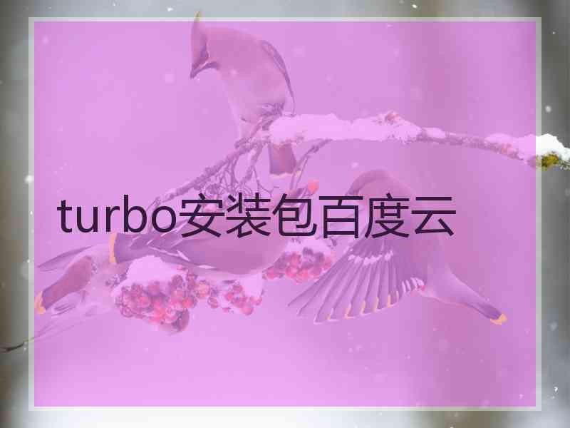 turbo安装包百度云