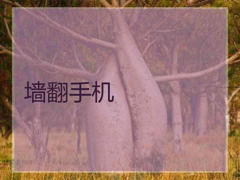 墙翻手机