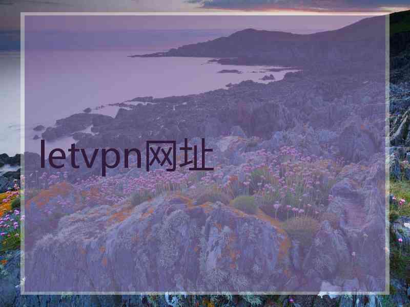 letvpn网址