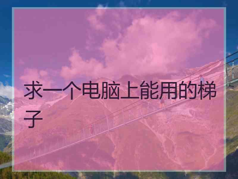 求一个电脑上能用的梯子