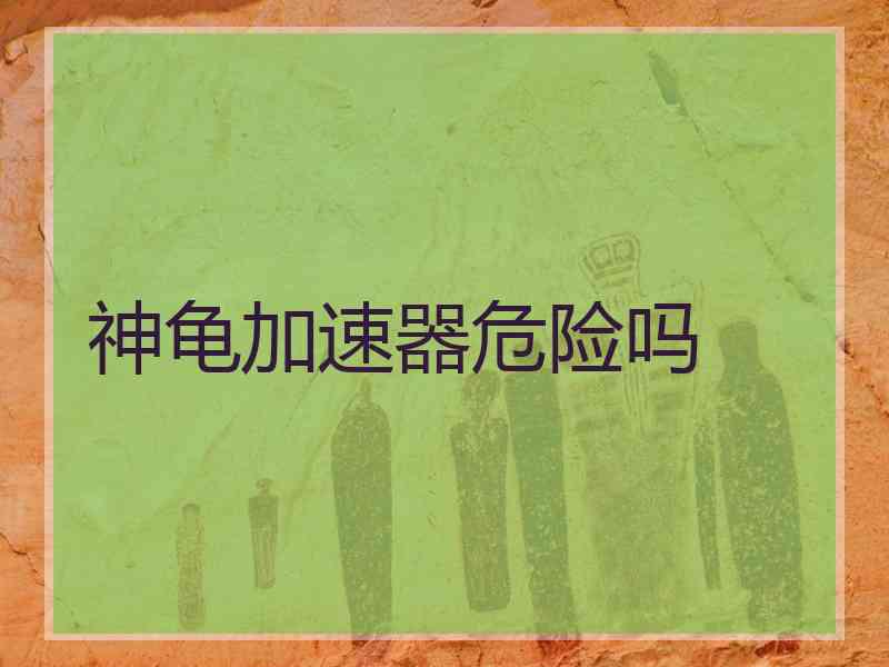 神龟加速器危险吗