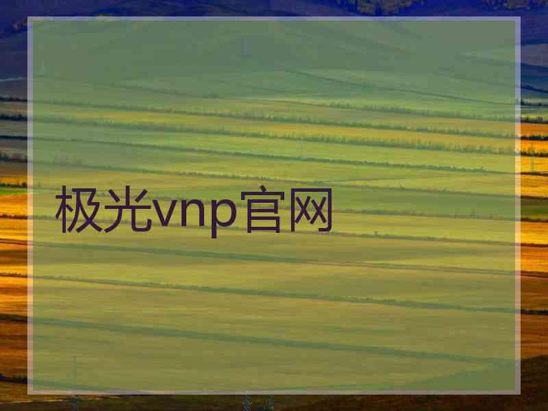 极光vnp官网