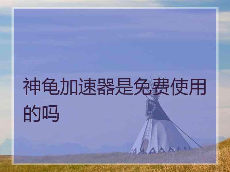 神龟加速器是免费使用的吗
