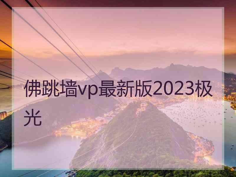 佛跳墙vp最新版2023极光