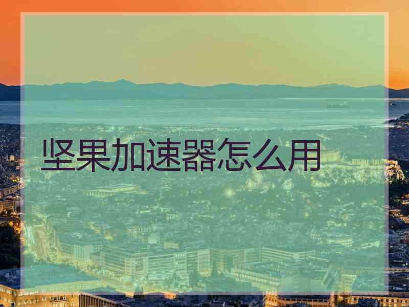 坚果加速器怎么用