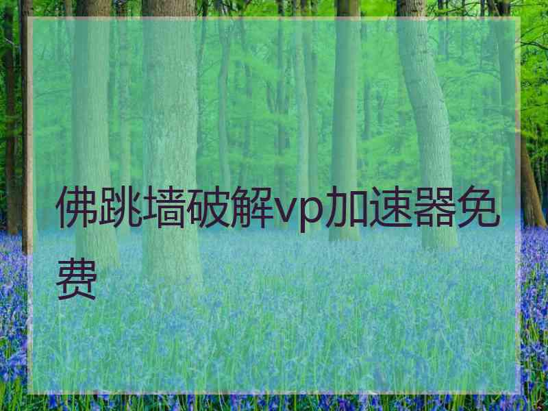 佛跳墙破解vp加速器免费