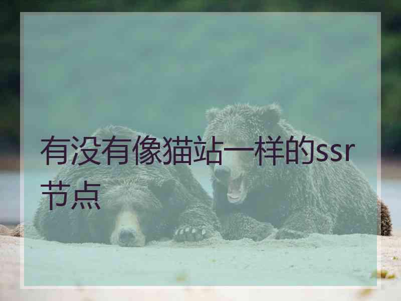 有没有像猫站一样的ssr节点