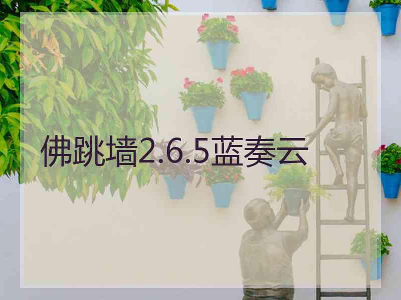 佛跳墙2.6.5蓝奏云