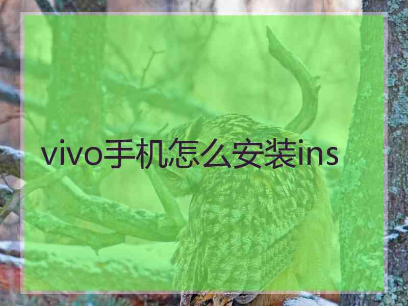 vivo手机怎么安装ins