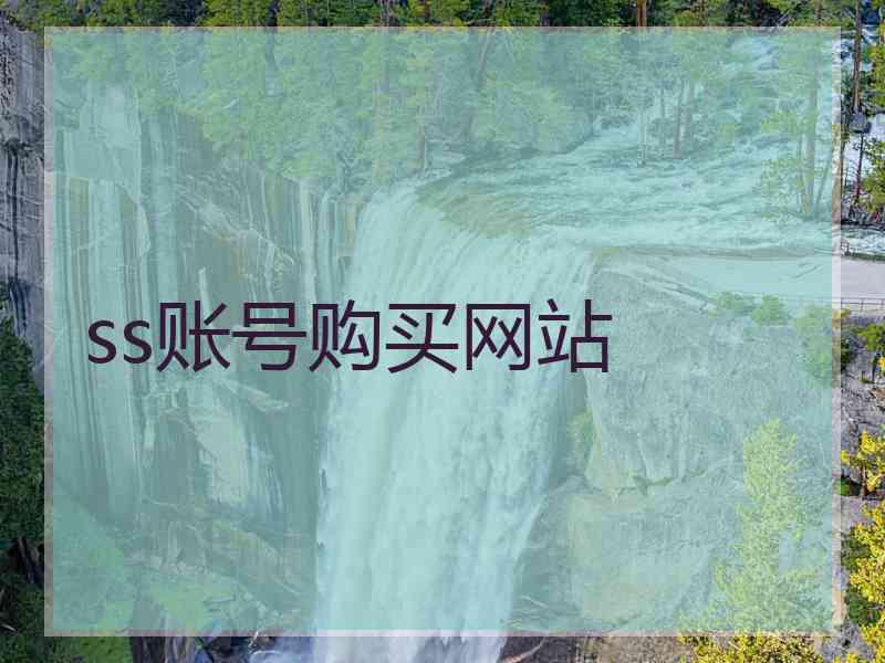 ss账号购买网站