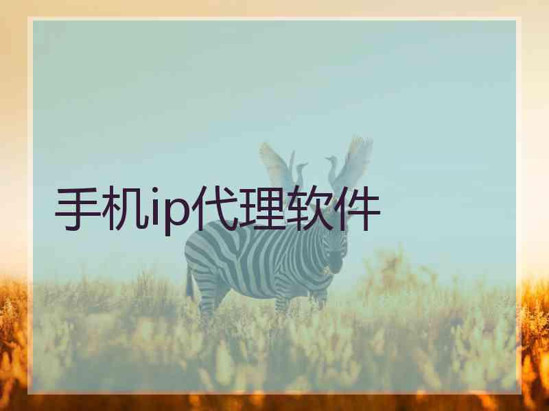 手机ip代理软件