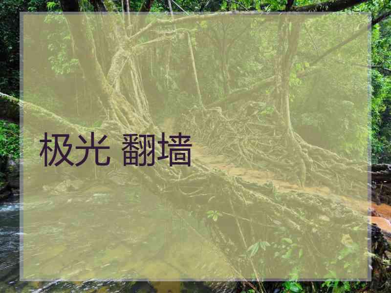极光 翻墙