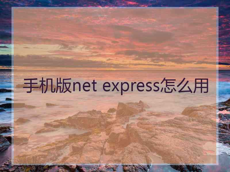手机版net express怎么用