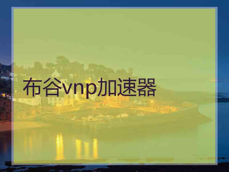 布谷vnp加速器