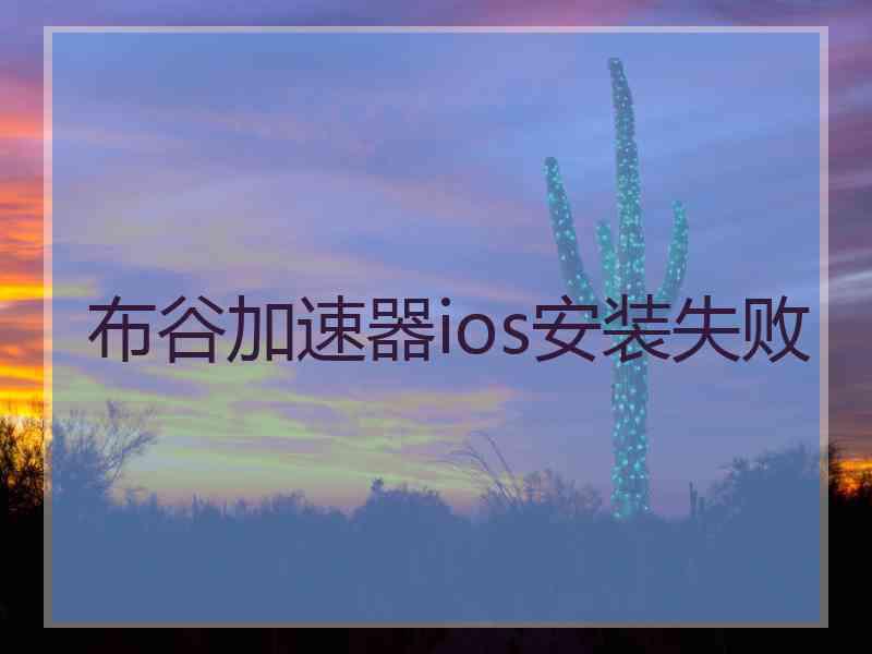 布谷加速器ios安装失败