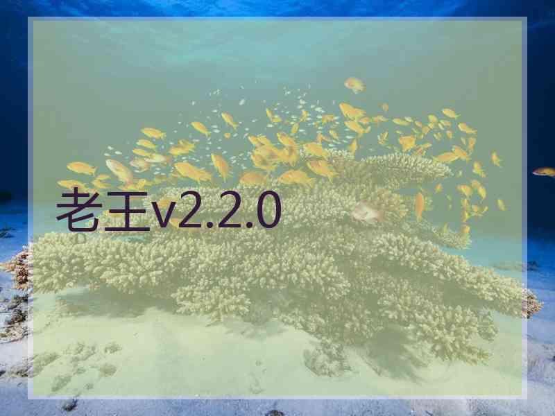老王v2.2.0