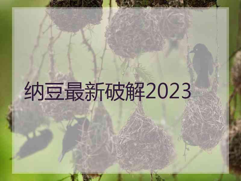 纳豆最新破解2023