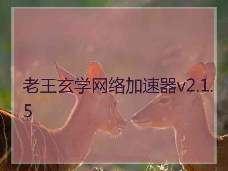 老王玄学网络加速器v2.1.5