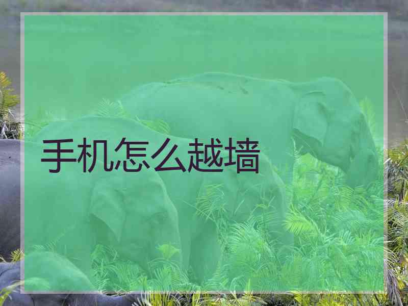 手机怎么越墙