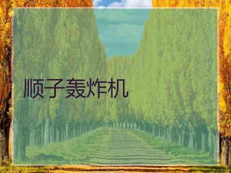 顺子轰炸机