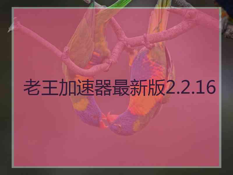老王加速器最新版2.2.16
