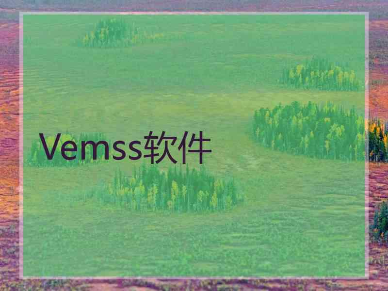 Vemss软件
