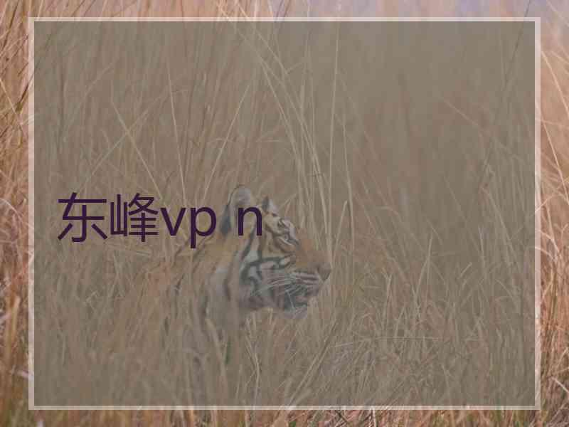 东峰vp n
