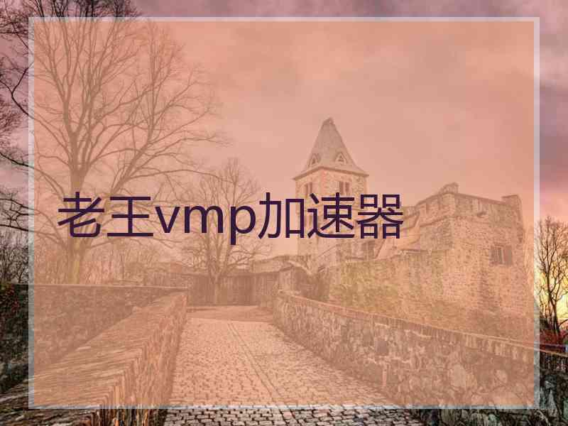 老王vmp加速器