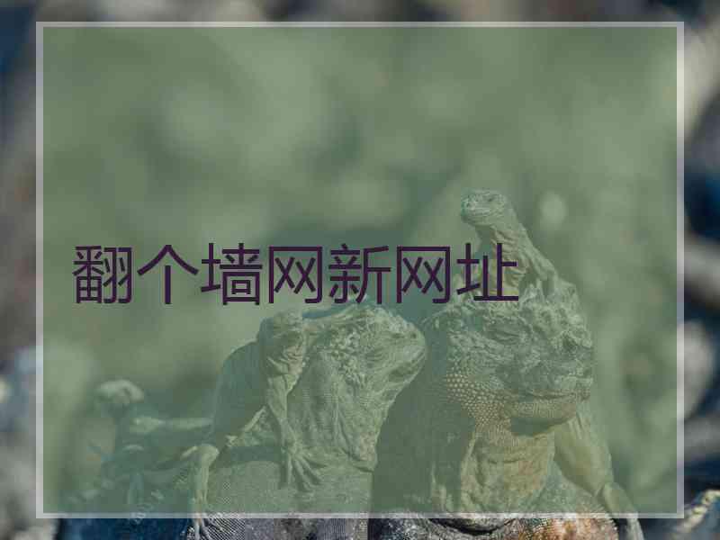 翻个墙网新网址