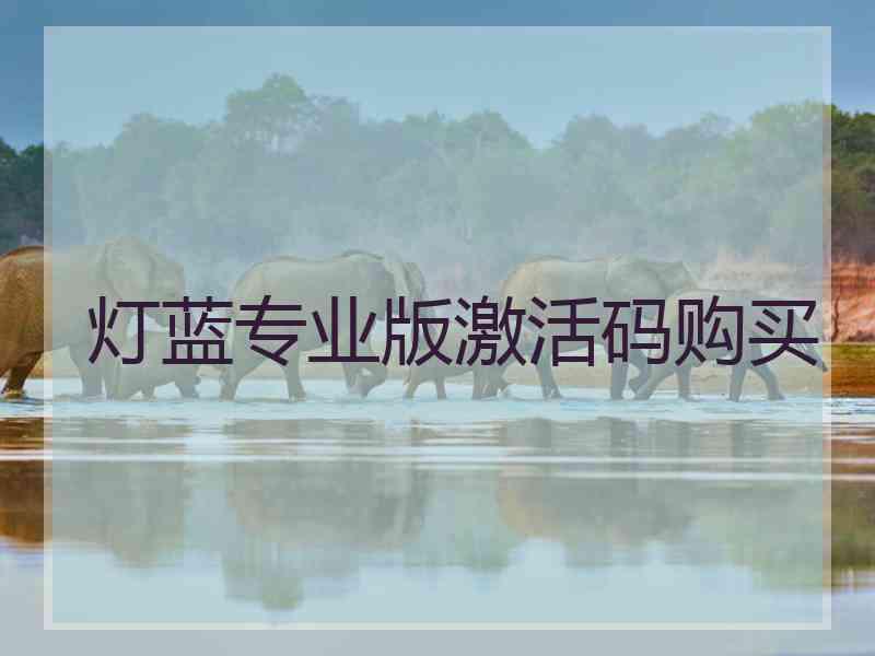 灯蓝专业版激活码购买