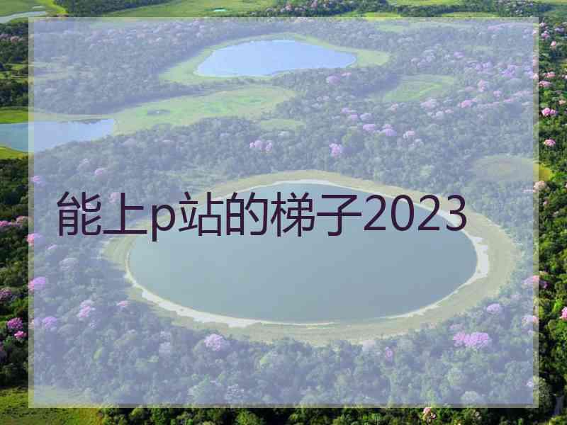 能上p站的梯子2023