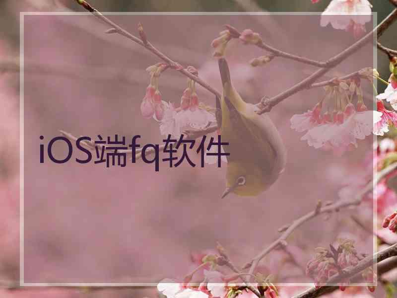 iOS端fq软件