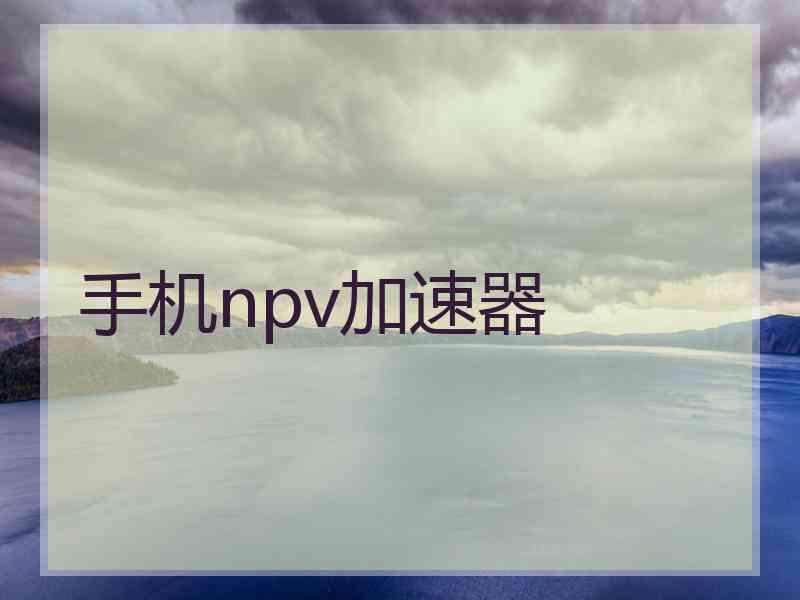 手机npv加速器