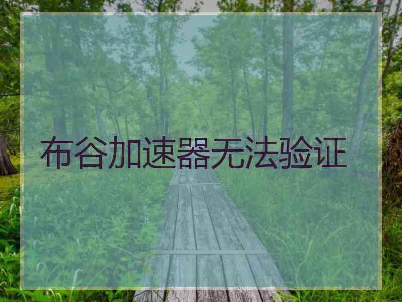 布谷加速器无法验证