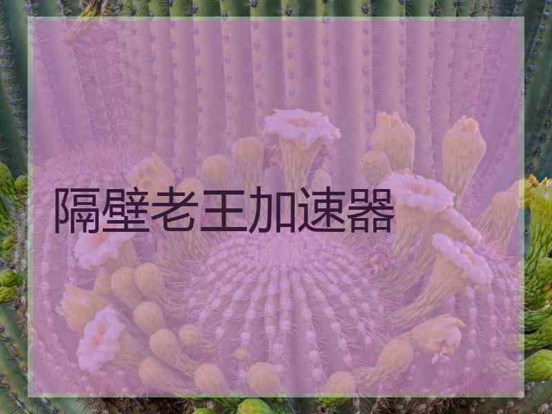 隔壁老王加速器