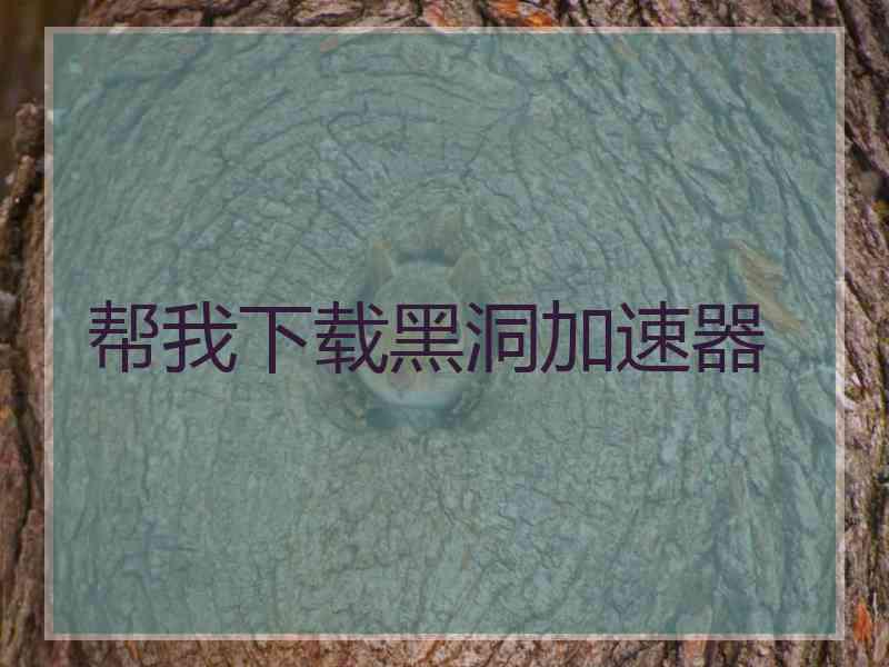 帮我下载黑洞加速器