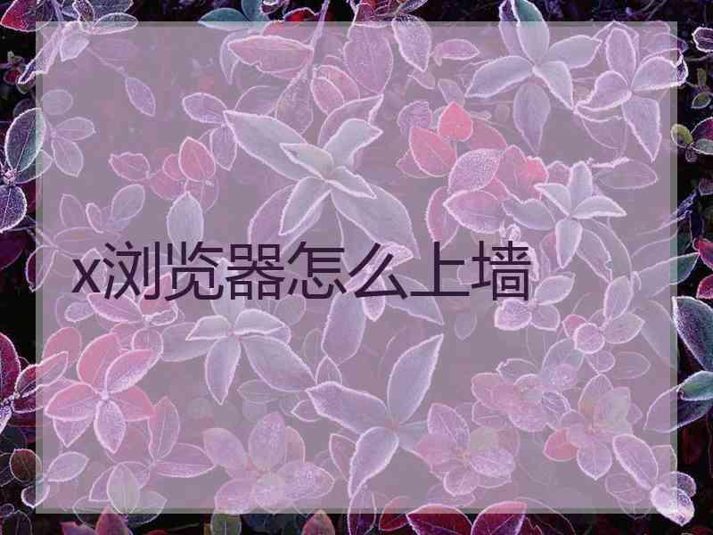 x浏览器怎么上墙